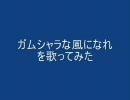 ガムシャラな風になれを歌ってみた