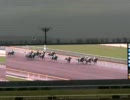 【のび太】競馬予想動画　　フェブラリーSを観戦していた