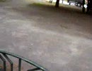 或る公園jの様子