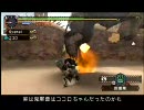 MHP2G 絶望と浪漫の村上位モンスターハンター(4/4)