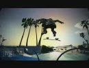 skate2 Filmer Pack使ってみた　その１
