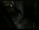 本気で「自重」→「じじゅう」と言っていた奴が零~紅い蝶~を実況　part5