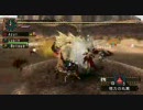 【モンハン】最後の招待状TA（WARABI狩猟団）