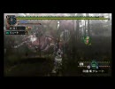 [MHP2G] G☆1 旧密林に潜む巨大蟹(ダイミョウザザミ)