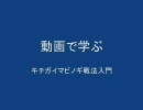 【動画で学ぶ】キチガイマビノギ戦法入門【第一回】