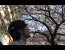 三日月の夜PV