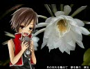 【少年MEIKOさんに】月光花【歌ってもらった】