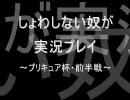 【プリキュア杯】マリオカートWii実況プレイ－前半戦【しょわん視点】