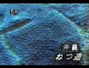 朝日KY捏造事件のニュース報道