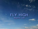 FLY HIGH