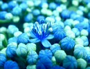 マクロスF「蒼のエーテル」歌ってみた（アカペラ）
