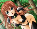 幻燐の姫将軍2　王様一人旅　part35