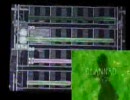 バンブラＤＸ　メグメル（ＣＬＡＮＮＡＤアニメＯＰｖｅｒ）
