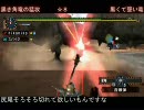 [MHP2G]集会所をソロランサーが何時間で越せるかやってみる　part31-1