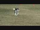 2009.03.01 NDA AKIGASE ROLLER-GAME 2R MILKY