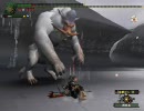 【MHF】ドドブランゴ 弓ソロ【ネオジムメモ】