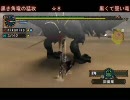 [MHP2G]集会所をソロランサーが何時間で越せるかやってみる　part31-2