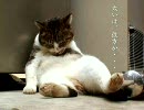 太いは彼方へ２（三国志大戦３）