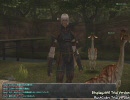 【FF11】傷つくエルの絵日記【１話目】フェニックス