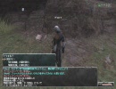 【FF11】傷つくエルの絵日記【２話目】フィールドなんとか