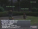 【FF11】傷つくエルの絵日記【６話目】ランク２へ