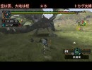[MHP2G]集会所をソロランサーが何時間で越せるかやってみる　part33