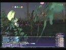 【FFXI】 花鳥風月　召喚盾でヴルパングエ【FF11】