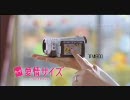 Panasonic CM カード愛情サイズ TM300
