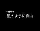 【みっちの】　WANDS　太陽のため息　【作業用】