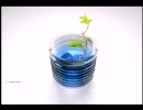 【叫んだから】雑談しながら『零～刺青の聲～』実況 番外【腕立てさ】