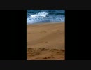 【alfee】　Best Hit Alfee 15