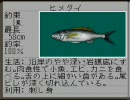【ＳＦＣ】海のぬし釣りをちょっとやってみる＿パート３６