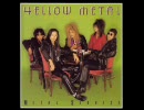 Metal Service  /  MASS