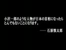 小沢一郎 ～ 闇の系譜　：秘書逮捕の真相／北朝鮮との黒い関係[低画質]