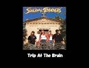 Suicidal Tendencies - Trip At The Brain