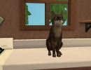 Sims2　ロマンス願望プレイ日記１４
