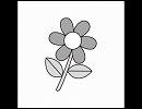 chapari / Daisy