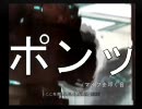 AREA-51をグダグダな感じで実況してみた【パート４】