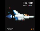 GRADIUS house RiMix Sky High