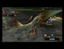 【MHP2G】ソロはコワイけど寄生ハンター卒業するお（・ｗ・´） FIGHT.12-2
