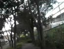 蟹サイクリング01　駒込～葛西臨海公園の巻　14/17