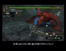 【MHP2G】下手ノ太刀 1振  -僕は嫌う竜のナミダを- 前編