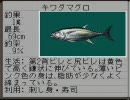 【ＳＦＣ】海のぬし釣りをちょっとやってみる＿パート３７