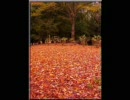 Jazz Piano　ver...1『枯葉』