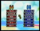 【サツキ杯】マリオカートWii　実況プレイPart10【夏美視点】