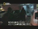 韓国の宅配サービス 4/4