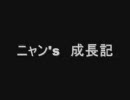 ニャン's成長記