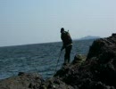 チヌ釣り