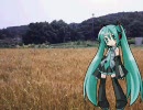 【初音ミク】　ハチのムサシは死んだのさ　【平田隆夫とセルスターズ】