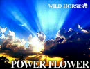 『POWER FLOWER』 『WILD HORSES』 オリジナル曲2